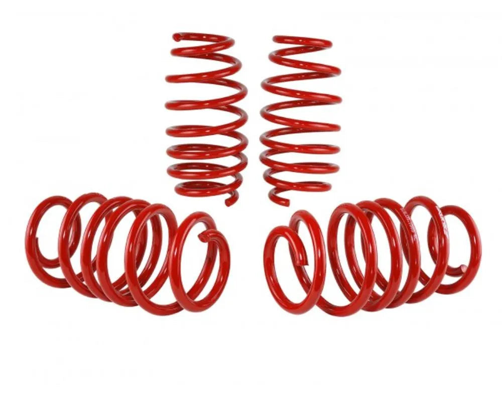 Skunk2 Lowering Springs Honda Civic 2012-2015 - 519-05-1585
